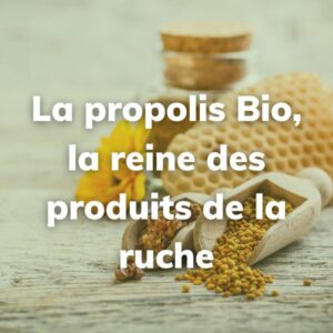 Lire la suite à propos de l’article La propolis Bio, la reine des produits de la ruche
