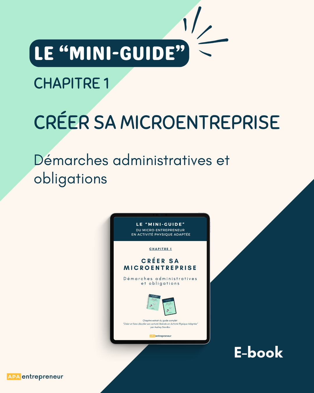 Mini Guide 1