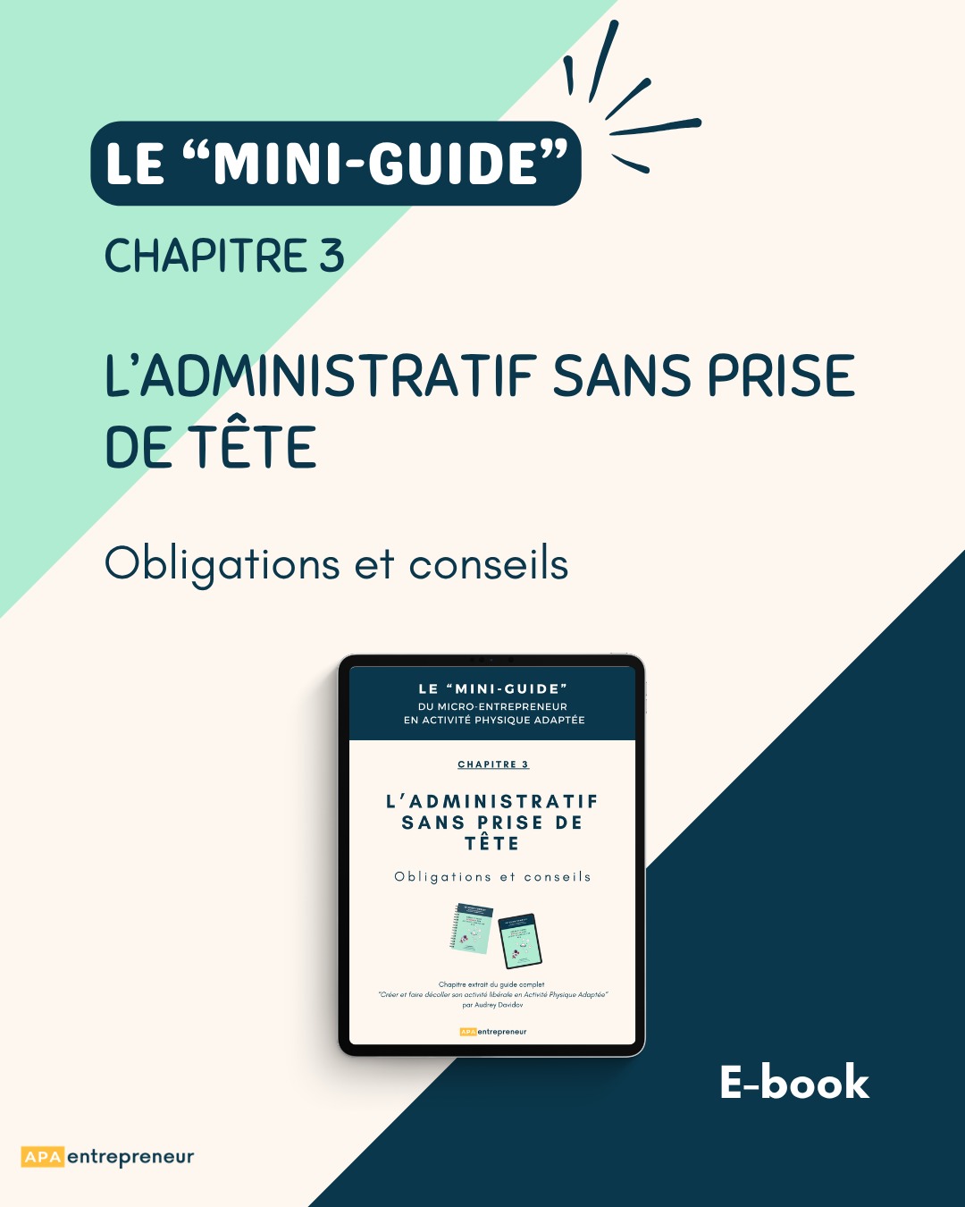 Mini Guide 3
